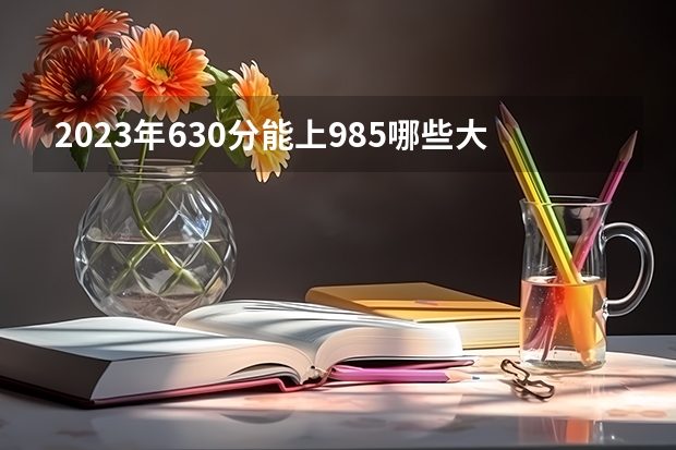 2023年630分能上985哪些大学