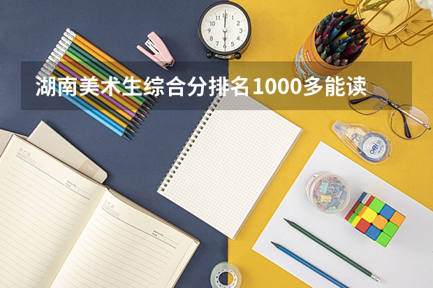 湖南美术生综合分排名1000多能读什么学校