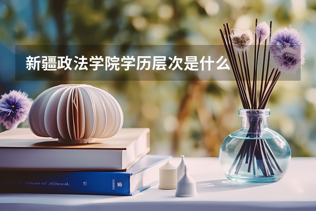 新疆政法学院学历层次是什么