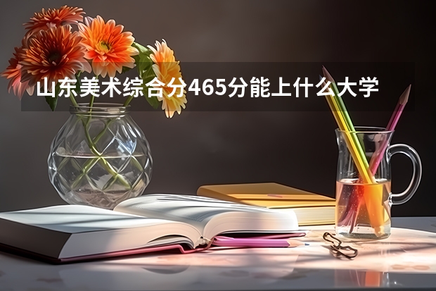 山东美术综合分465分能上什么大学