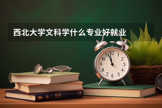 西北大学文科学什么专业好就业