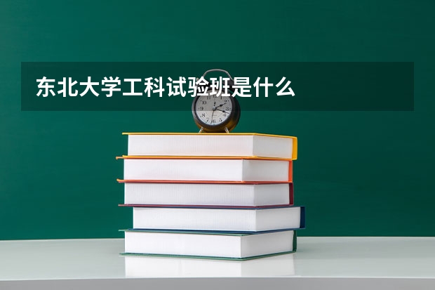 东北大学工科试验班是什么