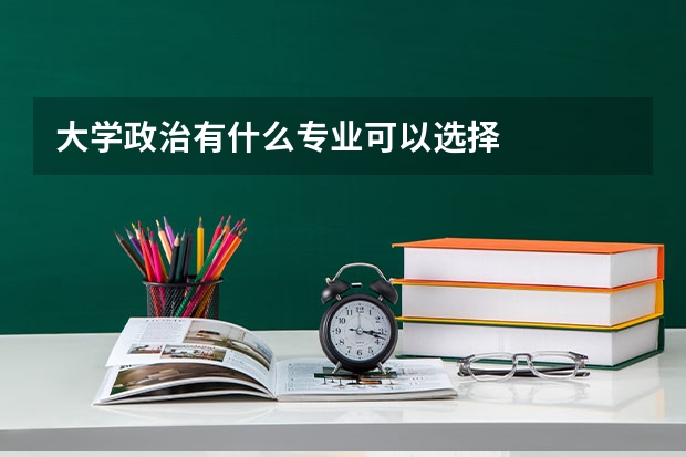 大学政治有什么专业可以选择