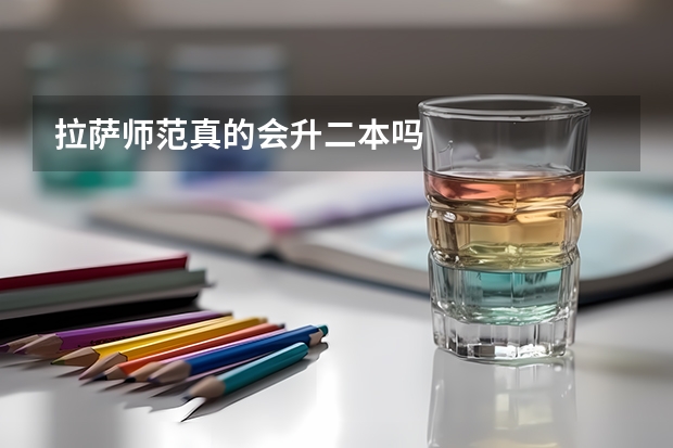 拉萨师范真的会升二本吗