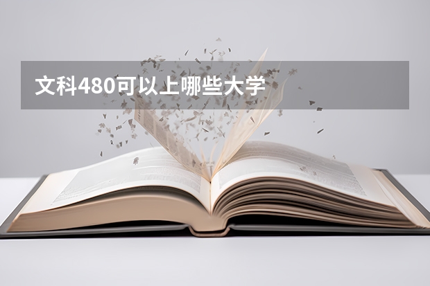 文科480可以上哪些大学