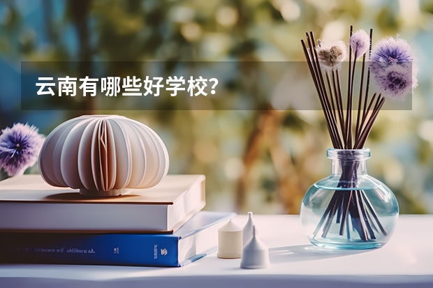 云南有哪些好学校？