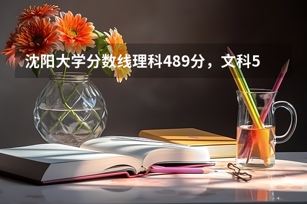 沈阳大学分数线理科489分，文科518分吗？