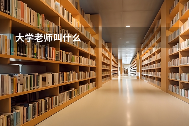 大学老师叫什么