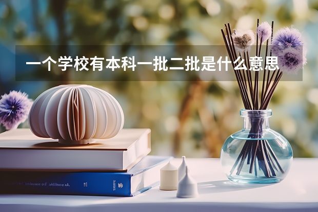 一个学校有本科一批二批是什么意思