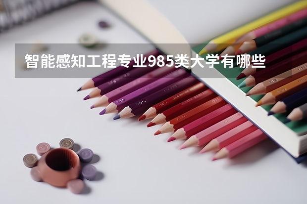 智能感知工程专业985类大学有哪些