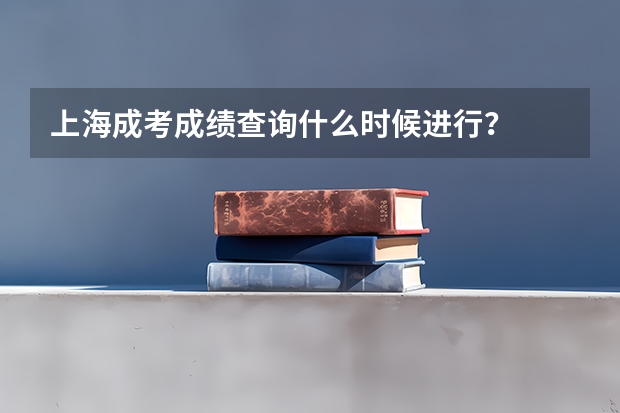 上海成考成绩查询什么时候进行？