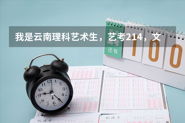 我是云南理科艺术生，艺考214，文化分350 有哪些四川的本科大学我可以报呢？求解答，谢谢！