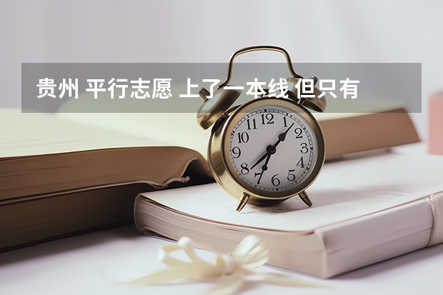 贵州 平行志愿 上了一本线 但只有一本实行平行志愿 我想报一两个二本学校 可以一本二本混报吗？