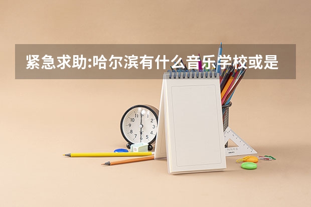 紧急求助:哈尔滨有什么音乐学校或是音乐培训班?