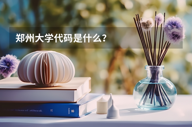 郑州大学代码是什么？