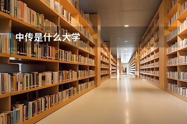 中传是什么大学