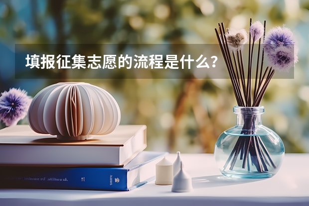 填报征集志愿的流程是什么？