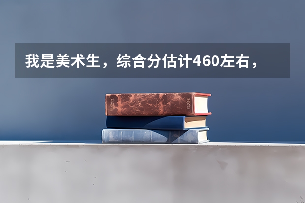 我是美术生，综合分估计460左右，能上广东什么本b学校，求答案。