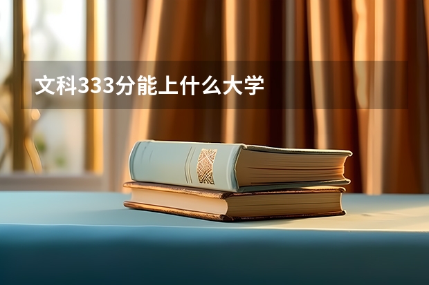 文科333分能上什么大学