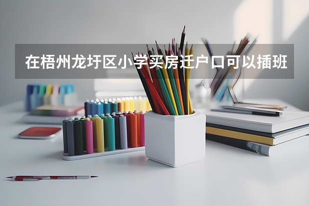 在梧州龙圩区小学买房迁户口可以插班难进吗