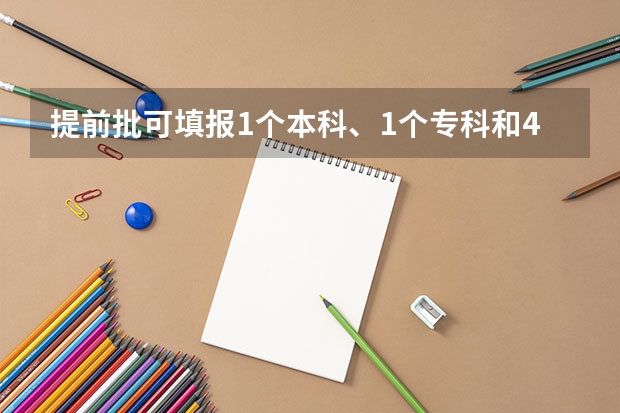 提前批可填报1个本科、1个专科和4个是否服从调剂院校志愿这句话是什么意思啊？我山东的。