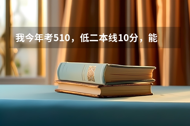 我今年考510，低二本线10分，能上安徽农业大学经济技术学院吗？